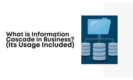 Information Cascade in Business